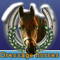 Dressage horses for sale